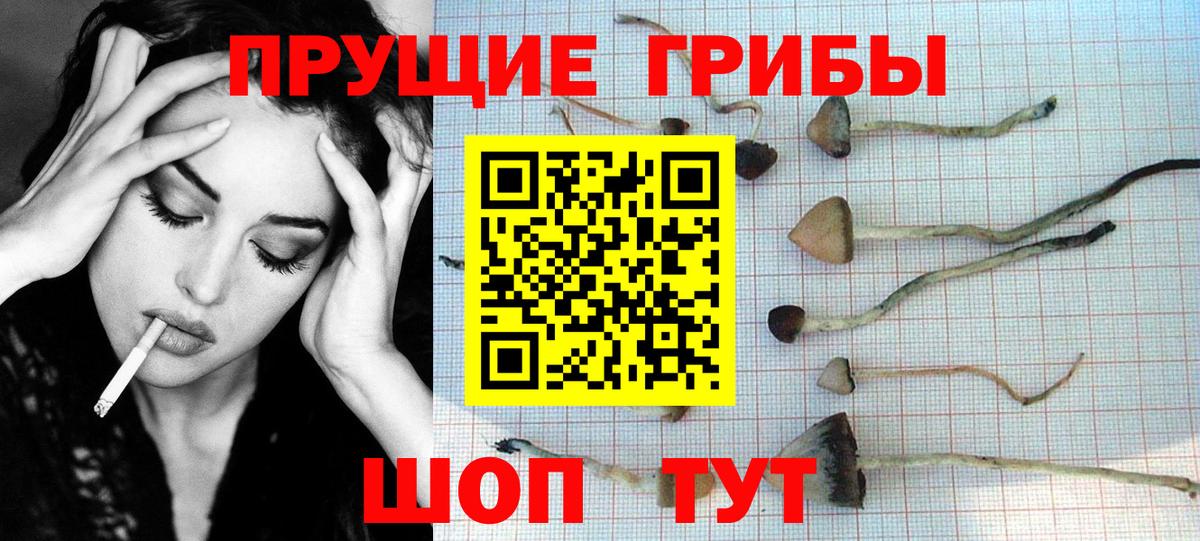 Псилоцибиновые грибы прущие грибы Нефтекамск