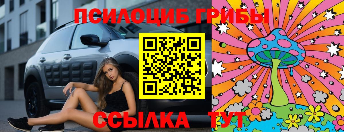 Нефтекамск  Галлюциногенные грибы Cubensis  Вход с VPN 